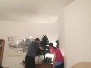 Setting up our tree